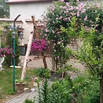 Gospodarstwo Agroturystyczne Kır Evi *