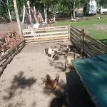 Gospodarstwo Agroturystyczne Kır Evi