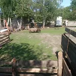 Gospodarstwo Agroturystyczne * Węgorzyno