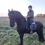 Gospodarstwo Agroturystyczne Kır Evi
