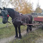 Kır Evi Gospodarstwo Agroturystyczne *