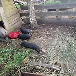 Gospodarstwo Agroturystyczne