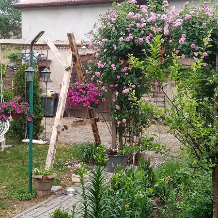 Gospodarstwo Agroturystyczne Εξοχικό σπίτι *