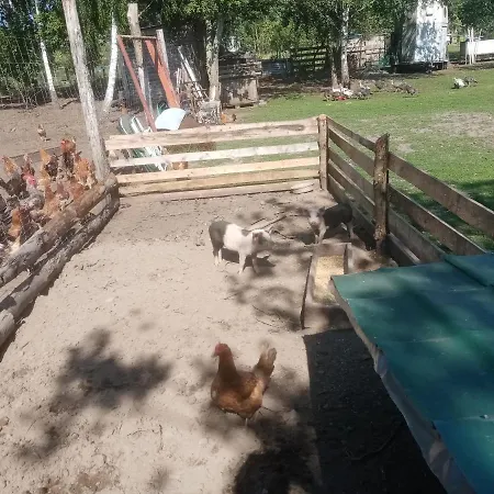 Gospodarstwo Agroturystyczne カントリーハウス