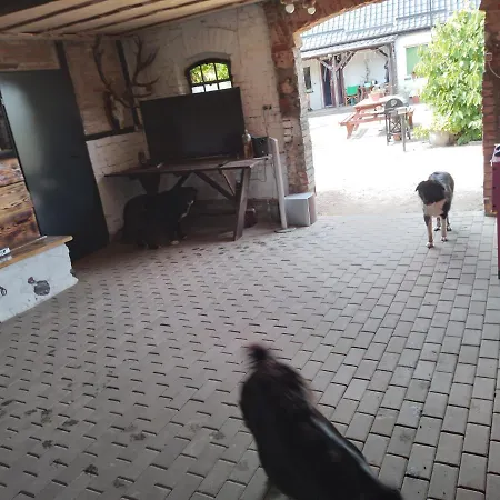 Gospodarstwo Agroturystyczne * Węgorzyno