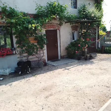 Gospodarstwo agroturystyczne Gospodarstwo wiejskie Węgorzyno