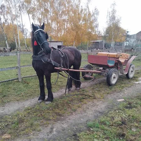 カントリーハウス Gospodarstwo Agroturystyczne ベンゴジノ