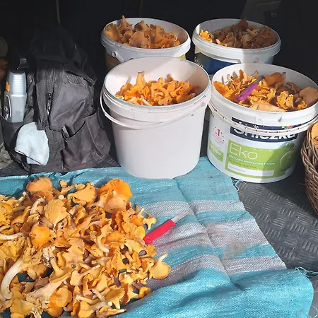 Gospodarstwo Agroturystyczne