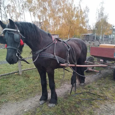Gospodarstwo wiejskie Gospodarstwo agroturystyczne *