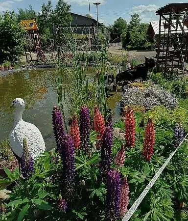 Gospodarstwo Agroturystyczne * ベンゴジノ