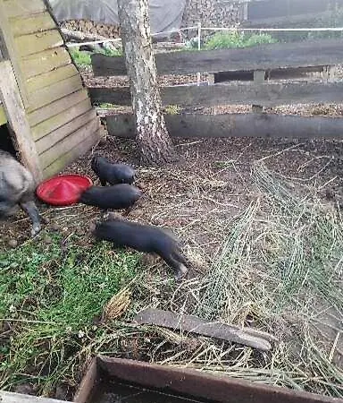 Gospodarstwo agroturystyczne