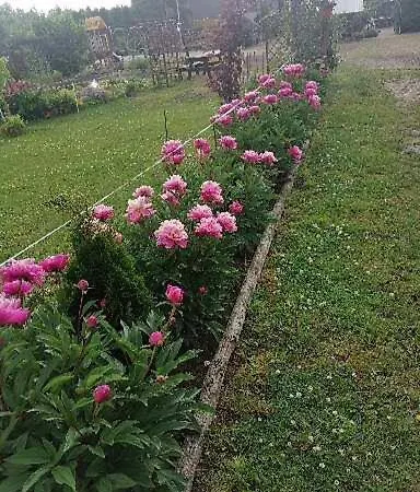 Gospodarstwo wiejskie Gospodarstwo agroturystyczne