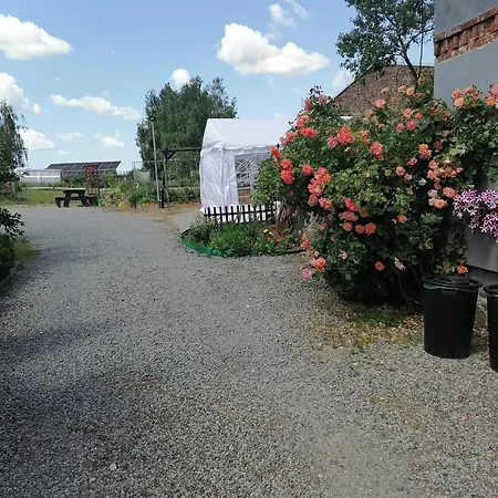 Gospodarstwo wiejskie Gospodarstwo agroturystyczne *