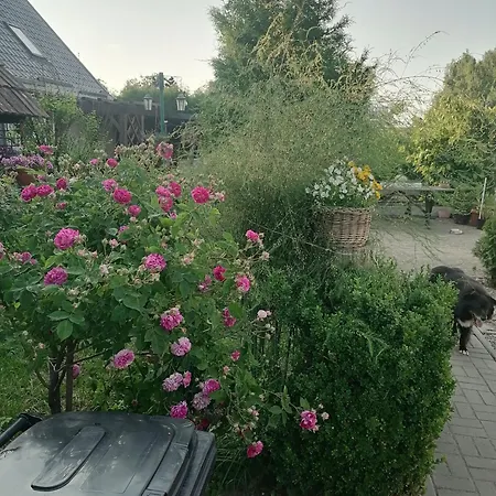 Gospodarstwo agroturystyczne Węgorzyno