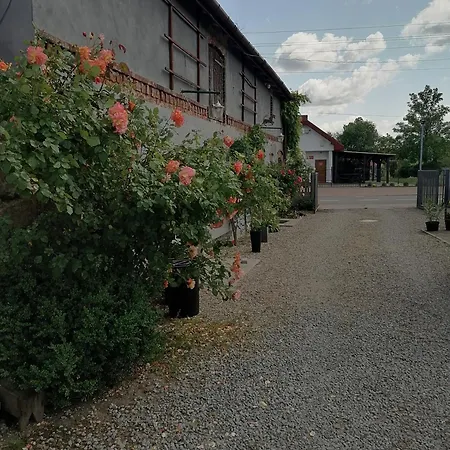 Gospodarstwo agroturystyczne * Węgorzyno