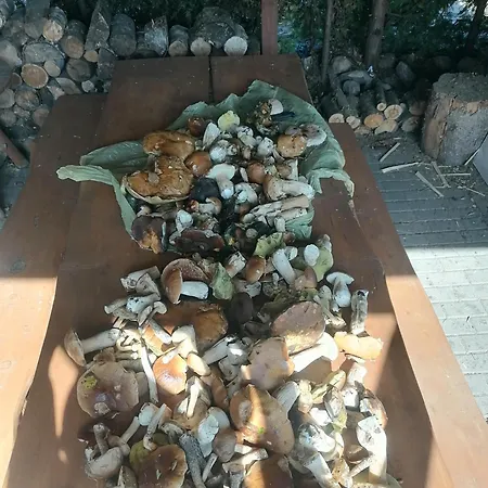 Gospodarstwo wiejskie Gospodarstwo agroturystyczne