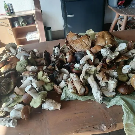 Gospodarstwo wiejskie Gospodarstwo agroturystyczne *
