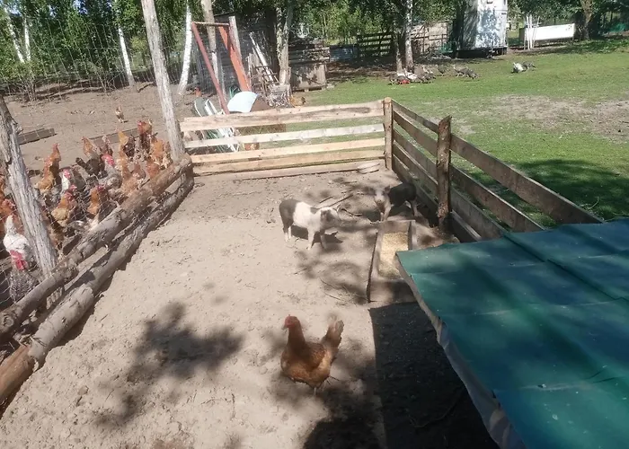 Gospodarstwo Agroturystyczne منزل ريفي