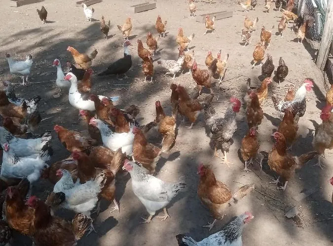 Εξοχικό σπίτι Gospodarstwo Agroturystyczne