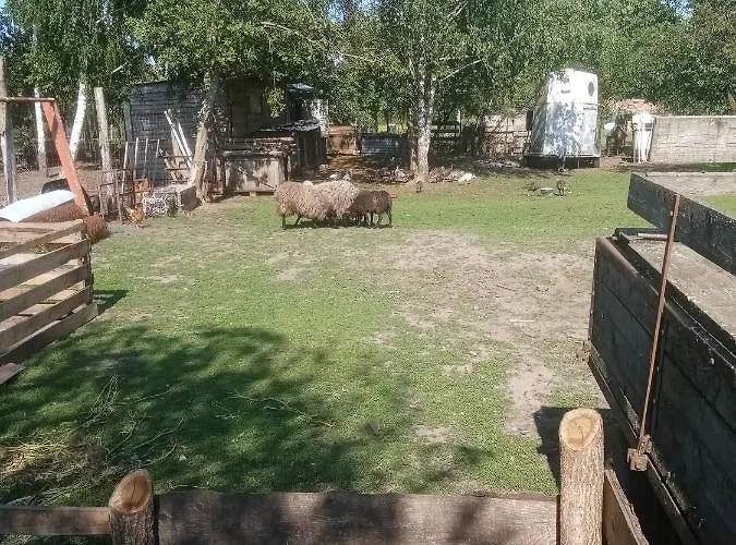 Gospodarstwo Agroturystyczne * Węgorzyno