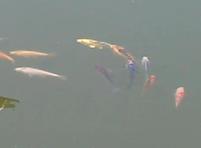 Gospodarstwo Agroturystyczne * Węgorzyno