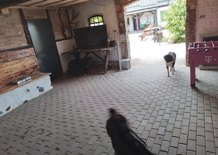 Gospodarstwo Agroturystyczne * Węgorzyno