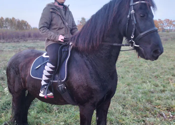 Εξοχικό σπίτι Gospodarstwo Agroturystyczne