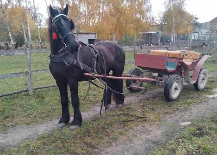 Εξοχικό σπίτι Gospodarstwo Agroturystyczne Węgorzyno
