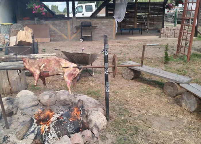 Gospodarstwo Agroturystyczne Węgorzyno