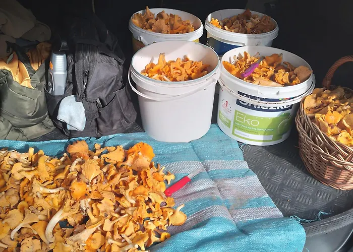 Gospodarstwo Agroturystyczne