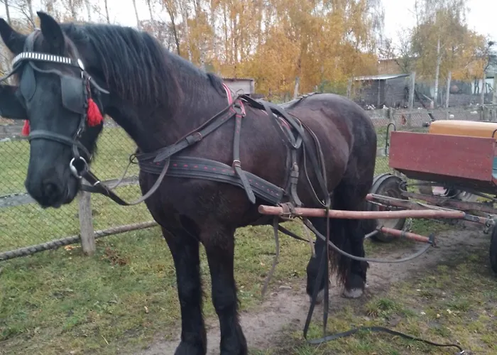 Εξοχικό σπίτι Gospodarstwo Agroturystyczne *