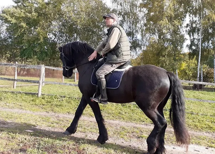 Gospodarstwo Agroturystyczne منزل ريفي