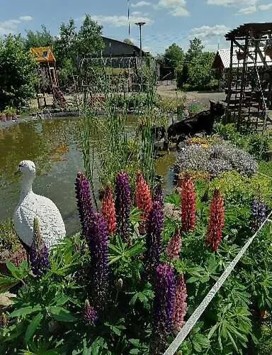 Gospodarstwo Agroturystyczne * Węgorzyno