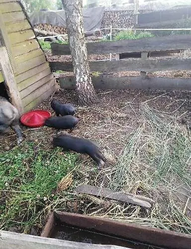 Gospodarstwo Agroturystyczne