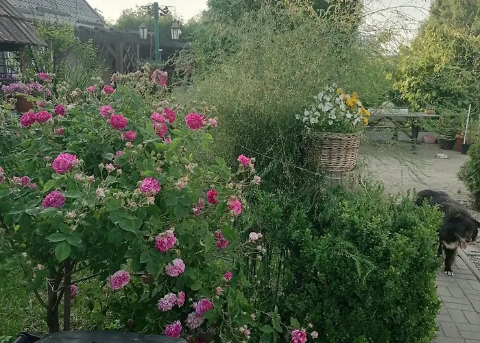 Gospodarstwo Agroturystyczne Węgorzyno